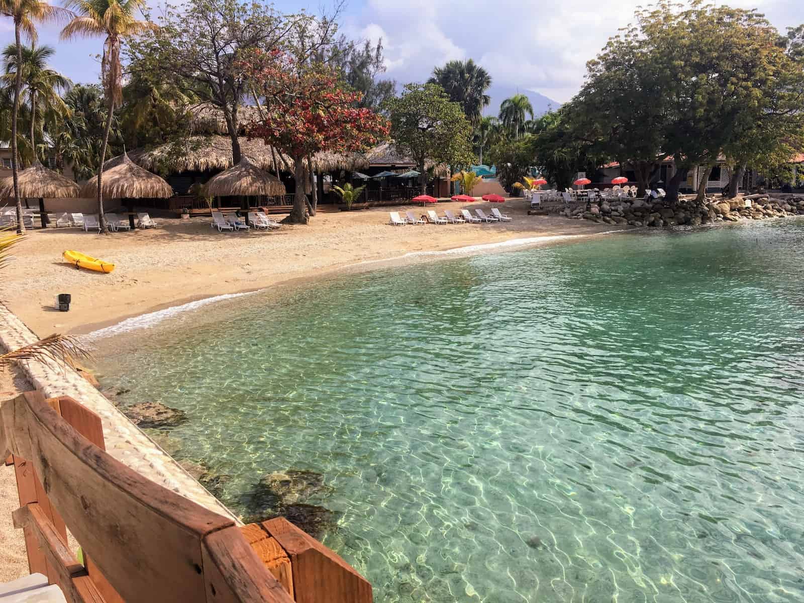 people swimming on beach during daytime